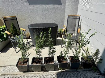 PREDAJ - RD pri súkromnom jazere - Boldog - 16