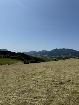 Ponúkam na predaj seno - 16