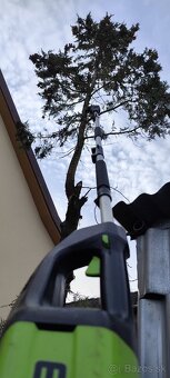 Strihanie ovocných stromov orez tuje živý plot výsadba - 16