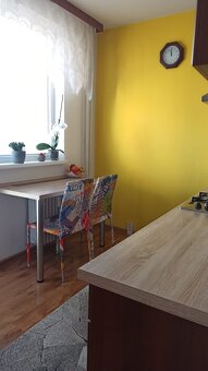 Prenájom 1 izbového bytu - 16