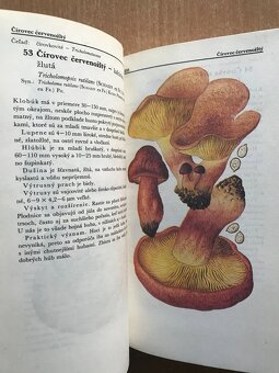 5 x literatura o hubach - 16