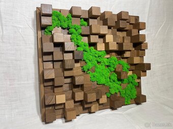 Machové obrazy - akustické difúzory - 16