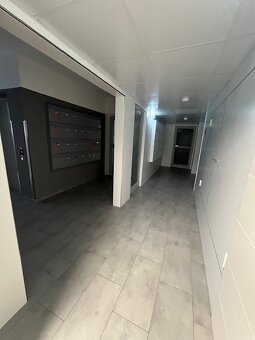 Novo zrekonštr. 2 izb. byt s loggiou, P.Horova - 16