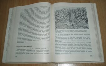 Zajac a králik - 16