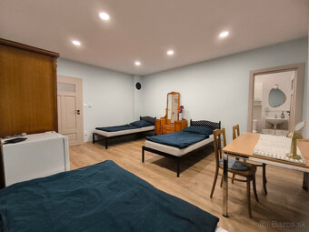 ubytovanie pri Piešťanoch - 16