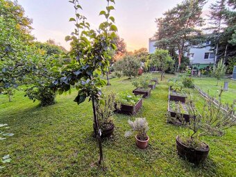 PRIESTRANNÝ 2-izbový byt (68m2) s VEĽKOU ZÁHRADOU (199m2), t - 16