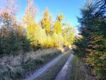 Vymením 3,8 ha lesného pozemku za ornú pôdu - 16