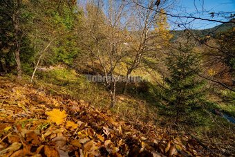 PREDAJ: Tajuplná záhrada s jazierkom a banským potôčikom, 19 - 16