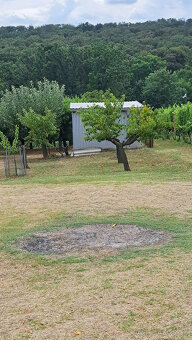 Vínny domček s vinicou a ovocným sadom v Bátorových Kosihách - 16