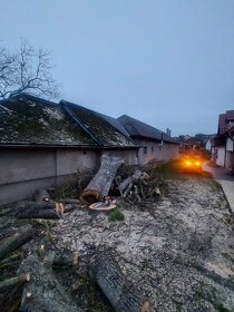 Pílenie a Orezávanie stromov - 16