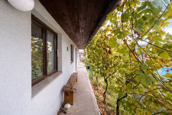 Na predaj veľký RD v Častkove za SUPER CENU - 16