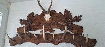 Trofeje a preparáty - 16