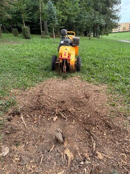 Profesionálne frézovanie a likvidácia pňov – rýchlo, bezpečn - 16