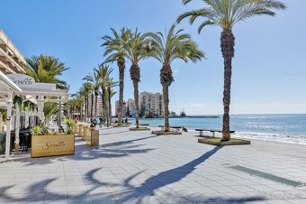Španělsko – Torrevieja, Parque de las Naciones - 16