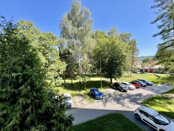 Na predaj:3-izbový byt po rekonštrukcii v širšom centre Brez - 16