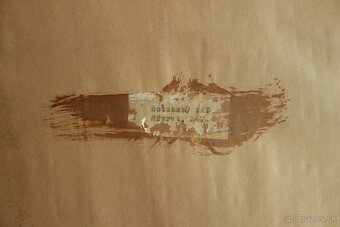 Obraz - Botanský - návrat - 16