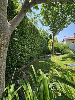 vertikutacia, rotavatorovanie, rylovanie, strihanie - 16