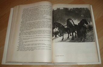 Revír bez hranic - 16