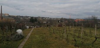 Viničný dom Levice s možnosťou celoročného bývania - 16