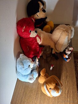 Všeobecná občianska legitimacia - 16