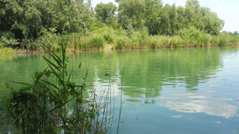 Samostatné bývanie - 1 izb byt Zlaté piesky s pozemkom 250m2 - 16