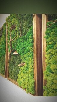 🌿 Machové obrazy na mieru – príroda vo vašom interiéri - 16