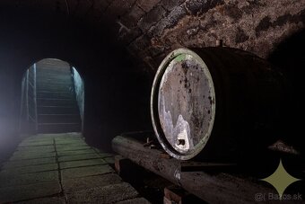 POZOR ZNÍŽENÁ CENA Viničný domček z roku 1878 - 16