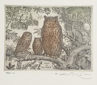 Peter Kľúčik - 16