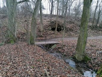 STAVEBNÝ POZEMOK PRI POTOKU 1963 m2 BRESTOVEC okres MYJAVA - 16