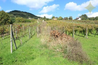 Vínny domček v chatovej oblasti obce Vinica, okres Veľký Krt - 16