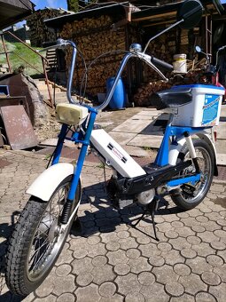 BABETTA 207 -300 - 16