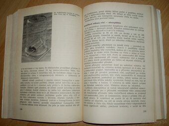 Včelarství - 16
