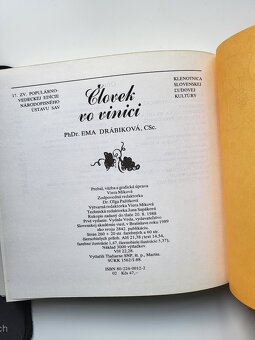 Ema Drábiková - Človek vo vinici - 16