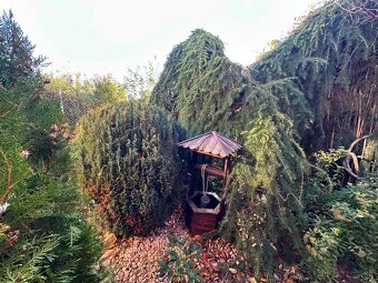 Záhradka so zateplenou chatkou a velkým pozemkom - 16