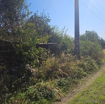 Čistenie pozemkov od naletovych drevín lesná fréza - 16