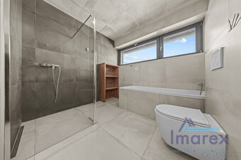 RD pri vode a lese v Novej Dedinke - 16