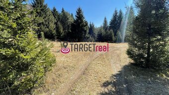 TARGETreal | NA PREDAJ REKREAČNÁ CHATA S 5 STAVEBNÝMI POZEMK - 16