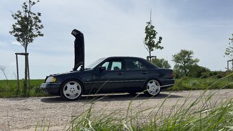 Mercedes C250 TD w202 - 16