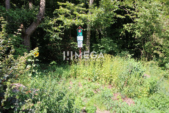 Na predaj rodinný dom s veľkým potenciálom blízko mesta Hume - 16