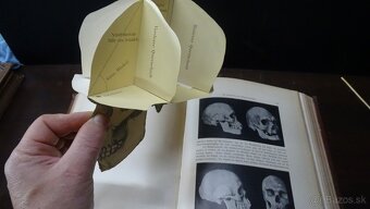 Weltall und Menschheit I-V. - 16