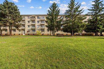 SVETLÁ GARSÓNKA, MUROVANÁ PIVNICA, NÍZKE NÁKLADY, OSTREDKY - 16