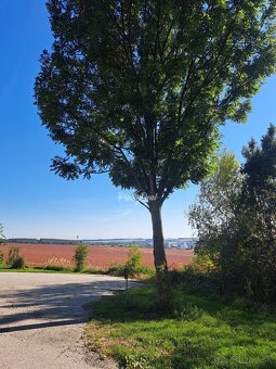 PinkyReal – ponúka investičný pozemok s rozlohou 5922 m2 - 16