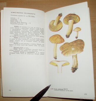 Naše huby - 16