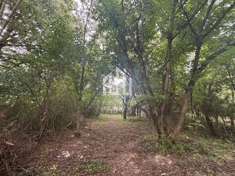 Predaj vidieckej chalupy s kúzlom minulosti v srdci kopaníc - 16