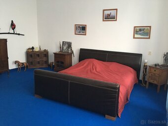 Predám zabehnutý Penzion Štúrovo na Slovensku - 16