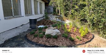 Záhrada zelená strecha rizikové rezanie stromov - 16