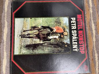 Predam LP vinylove - 16