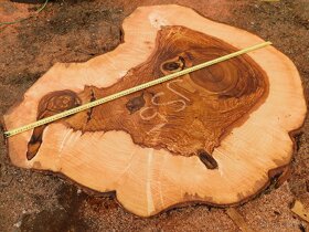 Koláče -  orechové drevo, fošne, rezivo - 16