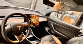Tesla Model 3 Standard Range - 16