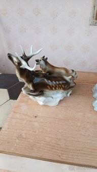 Sošky royal dux. - 16